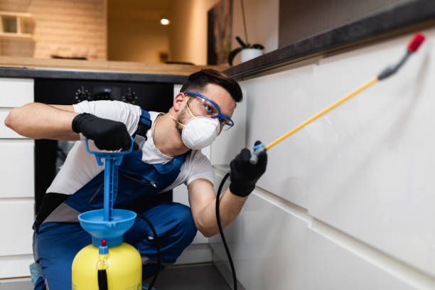 Best Best Pest Control Companies  in Dexter, MI