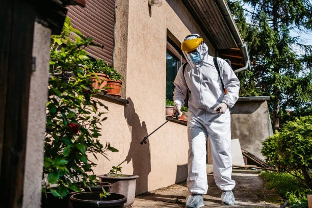 Best Spider Control Near Me  in Dexter, MI