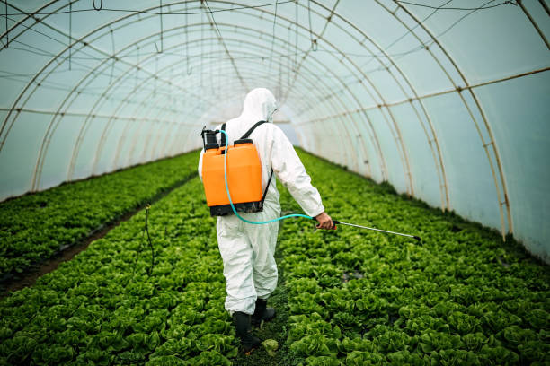 Best Pest Removal Services  in Dexter, MI