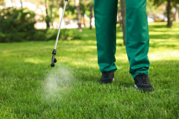 Best Local Pest Control Services  in Dexter, MI