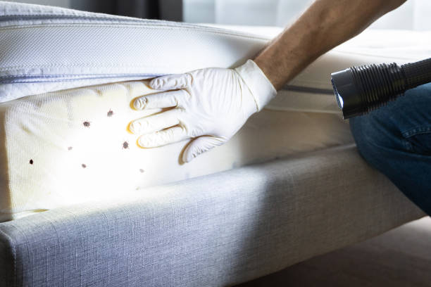 Best Exterminator Services  in Dexter, MI
