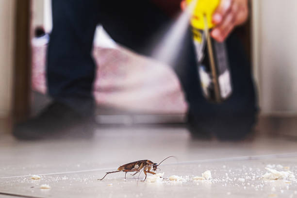 Wildlife Control Services in Dexter, MI