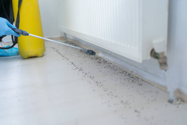 Best Affordable Pest Control Services  in Dexter, MI