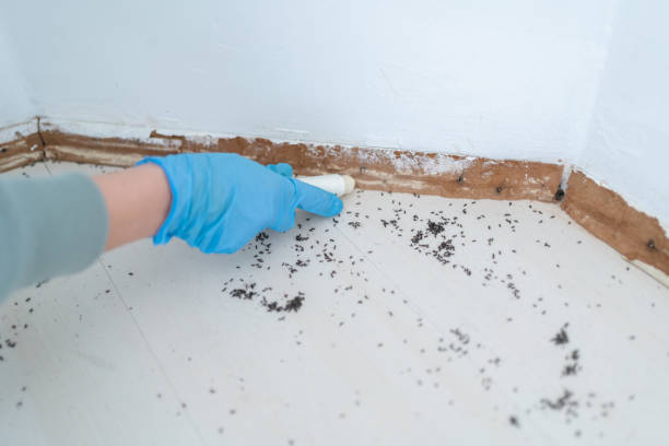 Best Residential Pest Control  in Dexter, MI