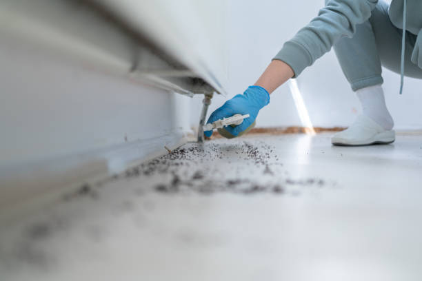 Best Wildlife Control Services  in Dexter, MI